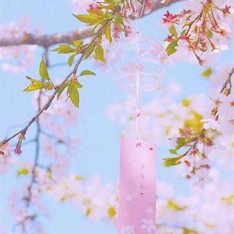 落合扶树（饰 水岛） - 马酷电影大全在线观看8 - 线上看电影